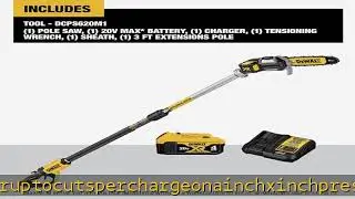 DEWALT 20V MAX* XR Pole Saw, 15-Foot Reach (DCPS620M1)