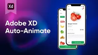 Adobe XD Auto-Animate: For Beginners