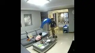Polite father and son bow to each other