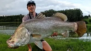 GIANT BARRAMUNDI ON A GLIDE BAIT.   cairns fishing