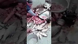Village wedding fish cutting #youtubeshorts #trendingshorts #shortvideo #shorts #trisa vlogs