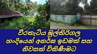 Weerakatiya Land Sale|Weerakatiya House Sale|Beliaththa Land Sale|වීරකැටිය ඉඩම්|CSB Property Sale 
