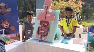 Lead project competition 2025