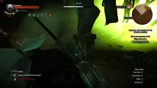 The Witcher 3 Sarasti
