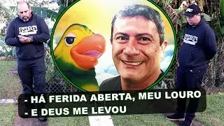 TOM VEIGA 