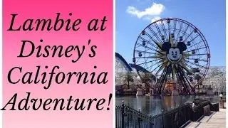 #497: Lambie at Disney's California Adventure Park! - LambCam