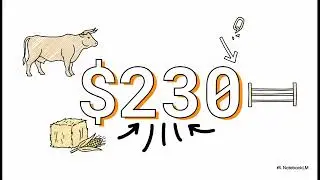 Breaking Analysis: [Dec 31, 2025] Global Agricultural Market Briefing