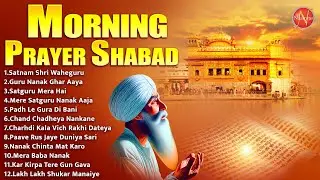 Morning Prayer Shabad | Nonstop Shabad Gurbani Kirtan 2024 | Most Popular Shabad | Shabad 2024