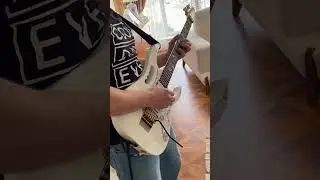 The Evil That Men Do - IRON MAIDEN (Guitar Cover)