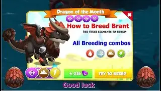How to Breed Brant Dragon-Dragon Mania Legends | All Breeding Combination | DML