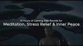 Peaceful Rain Ambience 10 Hours | Soothing Sounds for Meditation & Calm Focus