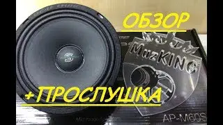 APOCALYPSE SILVESTER + ПРОСЛУШКА