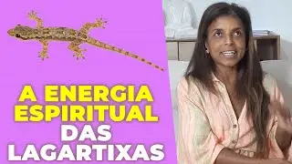 A Energia espiritual das Lagartixas com a vidente Vandinha Lopes