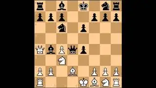 DIEMER DUHM GAMBIT