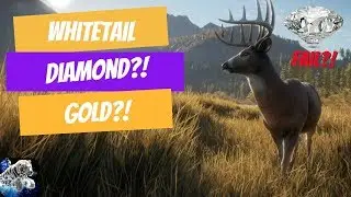 The Hunter COTW, Layton Hunt, Diamond Hunt Fail #2
