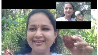 Natural Beauty from Natural lipstick
