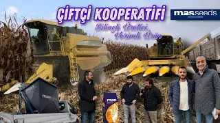 Mas Seeds DANELİK MISIR GÜNÜ | Bilinçli Üretici Verimli Ürün #masseeds #mısır
