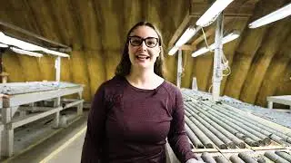 Skilled Responders: Exploration Geologist - Cassandra Black
