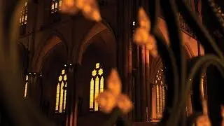 1pm Mass - Thursday 22 January