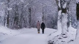 ❄️ Escape to this snowy paradise [Smooth Jazz]