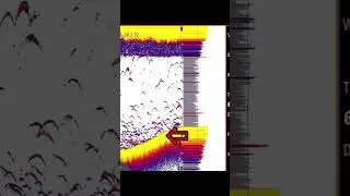 Эхолоты для чайников! Объяснение принципа работы эхолота для начинающих! Что означают цвета!