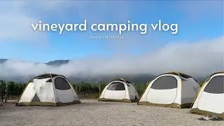 Camping on a Vineyard (camping vlog)