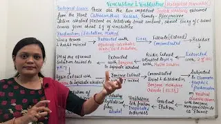 Vincristine & Vinblastine (Part 01) = Industrial Production, Estimation and Utilization (Part 17)