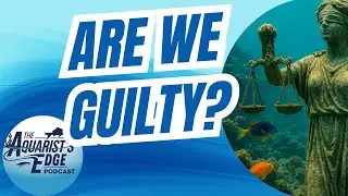 Are We Guilty?   A Freshwater Aquarist Response To 