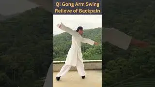 Qi Gong Arm Swing Relieve of Backpain ✨😊🤗 #shorts #shaolin #fitness