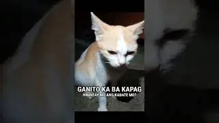 Ganito Ka din ba Kapag Nastressed Kana?