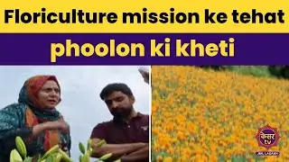 Bhaderwah News: Floriculture mission ke teaht phoolon ki kheti | Jammu Kashmir News | Kesar TV