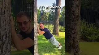Заблуждения про бустеры тестостерона