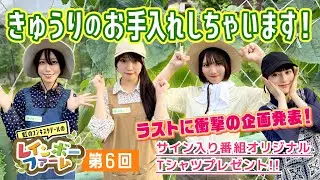第６回「きゅうりのお手入れしちゃいます！」虹のコンキスタドール