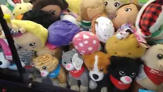 Updates to Sugarloaf Claw Machines+New plush and you cannot win them look at why