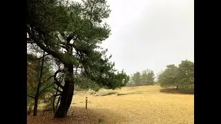 Zandduinen van de Oudsberg