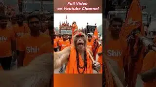 Old monkey in kawar Yatra | AI Generated with VEO 3 | Baba Tillu Shorts