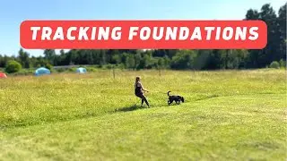 Police Style Tracking Foundations Seminar Fun