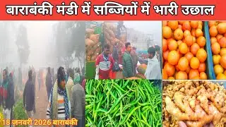 बाराबंकी मंडी में सब्जियों में भारी उछाल 18 जनवरी 2026 🥔 Aaj ka sabjiyon ka bhav 🫛 tamatar ka bhav 