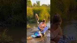 😱 Real Story Tiger Ka Hamle 🐆 #shorts #shortvideo #youtubeshorts #youtube #viral #trending #short