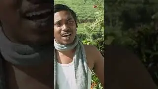 Watch 👆 'Aanum Pennum' movie scenes! #aanumpennum #shorts #parvathythiruvothu #asifali #jojugeorge