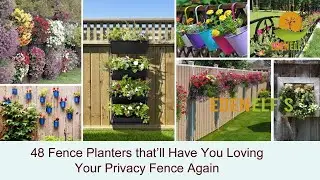 48 Fence Planters that&rsquo;ll Have You Loving Your Privacy Fence Again