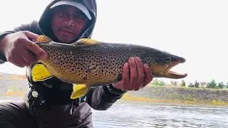 Another Giant Brown Trout!! Fishing The Lehigh River And D & L Canal 