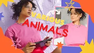 positive animal world | live animals puf