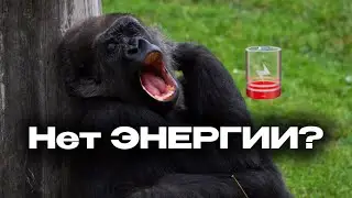 ЭНЕРГИЮ можно получить ТОЛЬКО ТАК | Как не уставать и всегда быть сильным