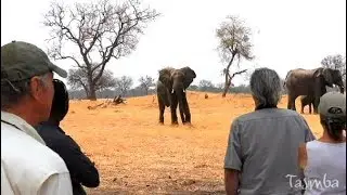 Indaba with Ian McCallum