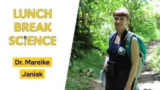 Primate Digestion, Genomics, and Eating Insects &bull; Dr. Mareike Janiak &bull; Lunch Break Science