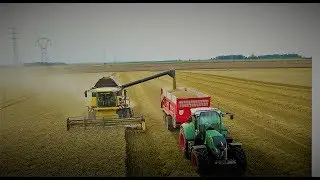 NEW HOLLAND CX 8060 + FENDT / HARVEST 2017