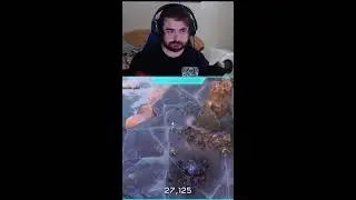 The Halo experience