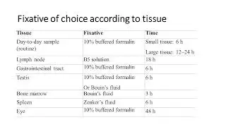Choice of fixative based on technique