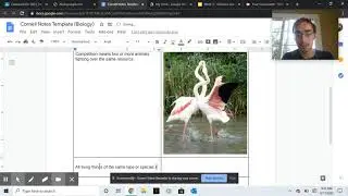 Ecology Vocab Notes + Virtual Lab Intro